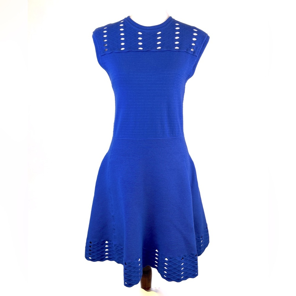 NWT Ted Baker Zaralie Blue Jacquard Panel Skater Dress in Sz: 10 (Ted’s 4)